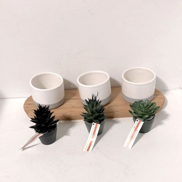 CENTERPIECE Decor Mini Faux Succulents in Ceramic Pots ASHLAND Wooden Tray - Picture 6 of 9